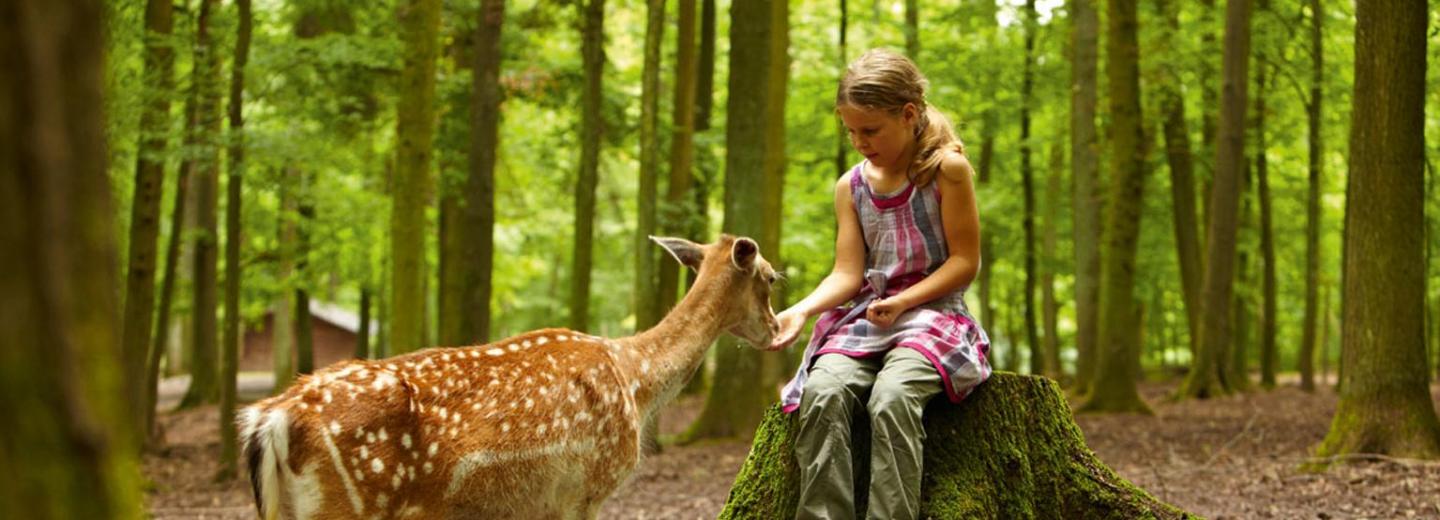 © Eurotours Erlebnis-Urlaub im Natur-Resort Tripsdrill