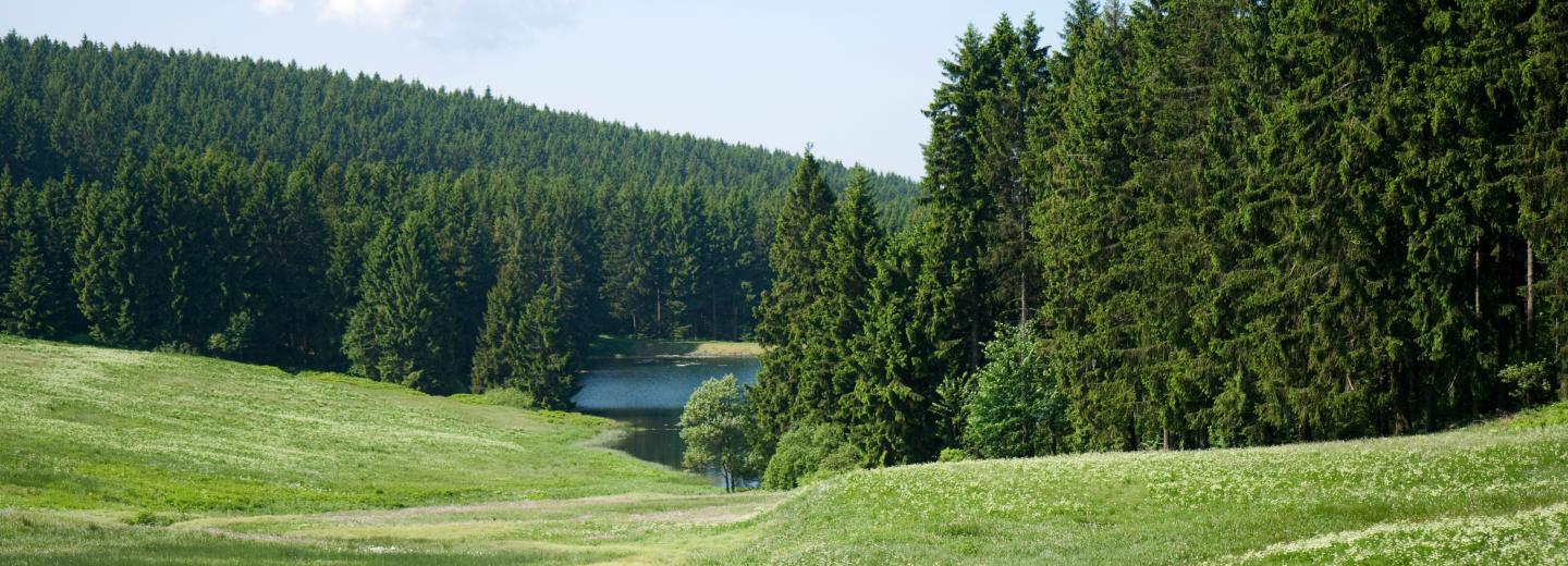 © Eurotours Hahnenklee