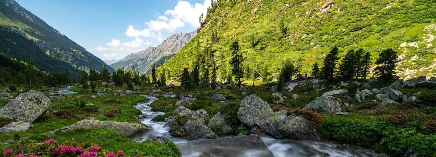 © Nationalpark Hohe Tauern / Hannah Assil u. Michael Kastl Nationalpark Hohe Tauern
