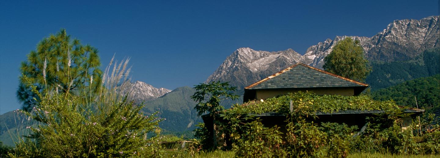 © Eurotours Palampur, Himachal Pradesh