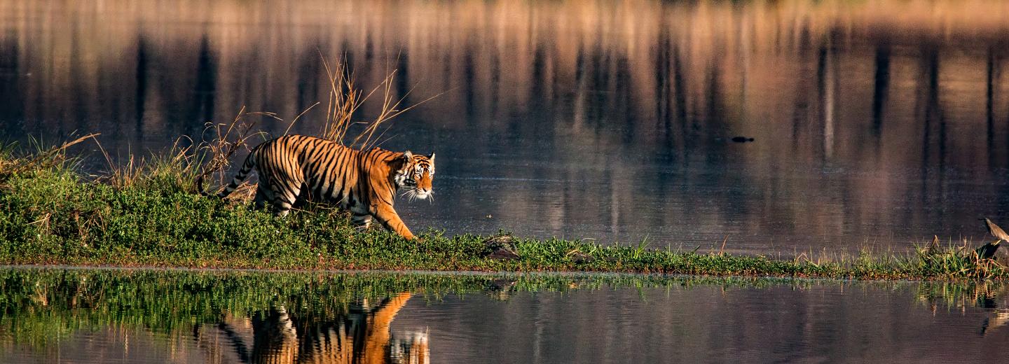 © Eurotours Facettenreiches Indien