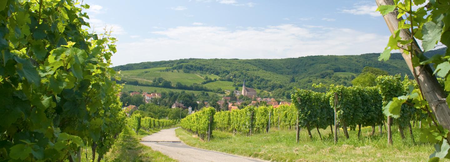 © Eurotours Elsass