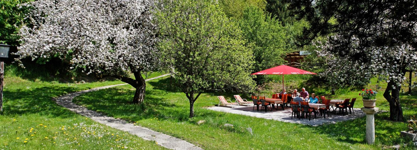 © Eurotours In den Wipfeln der Bäume - Der Bayerische Wald