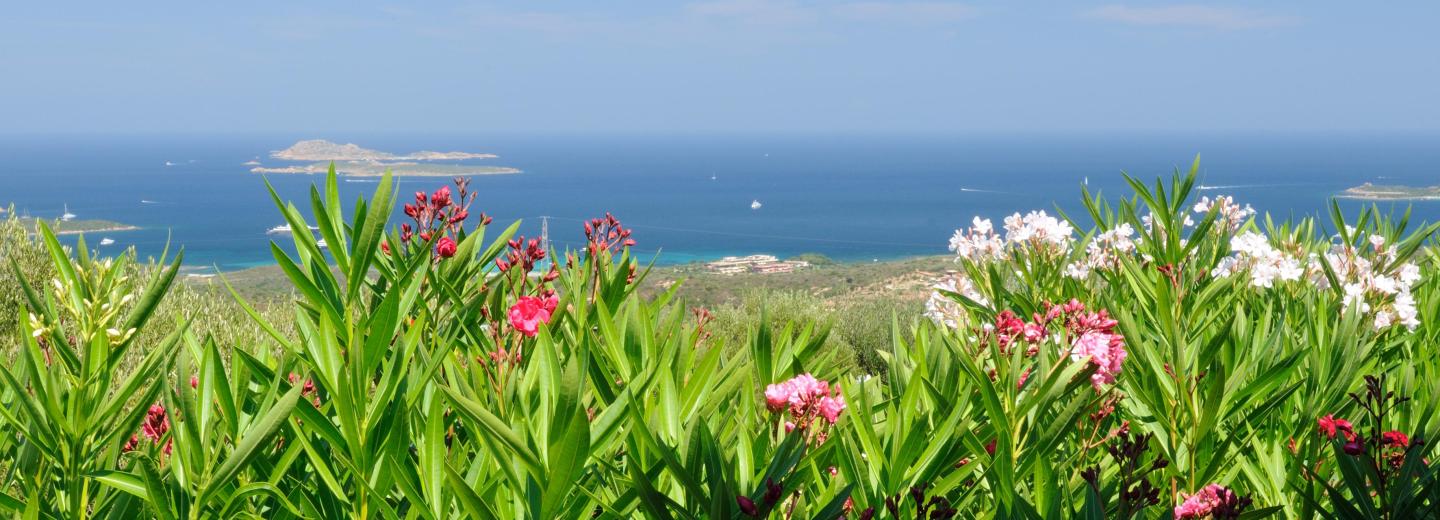 © Eurotours Sardinien: Traumhafte Urlaubserlebnisse sammeln