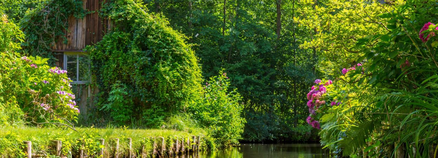 © Alexander Horejs Spreewald