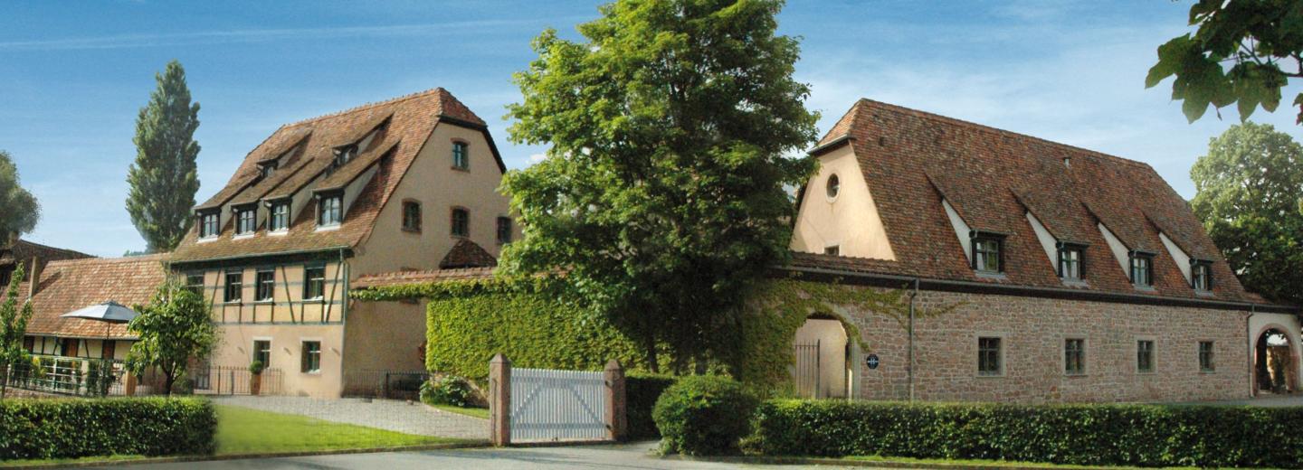 © Eurotours Auf dem Drahtesel durch das Elsass