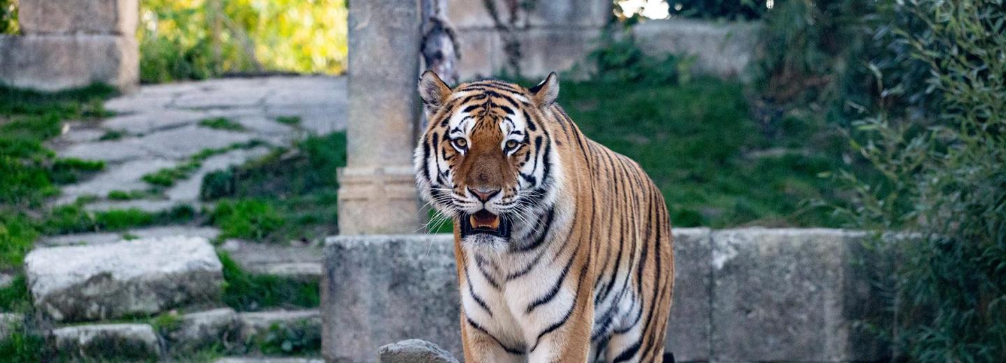 © Erlebnis Zoo Hannover Zoo Hannover