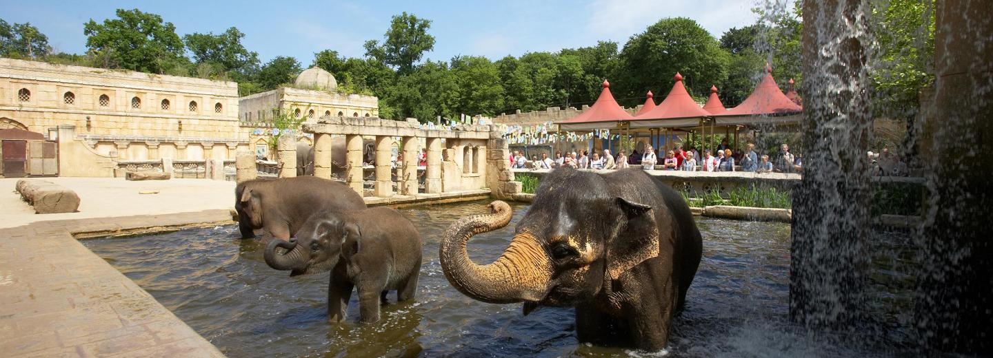 © Erlebnis Zoo Hannover Zoo Hannover