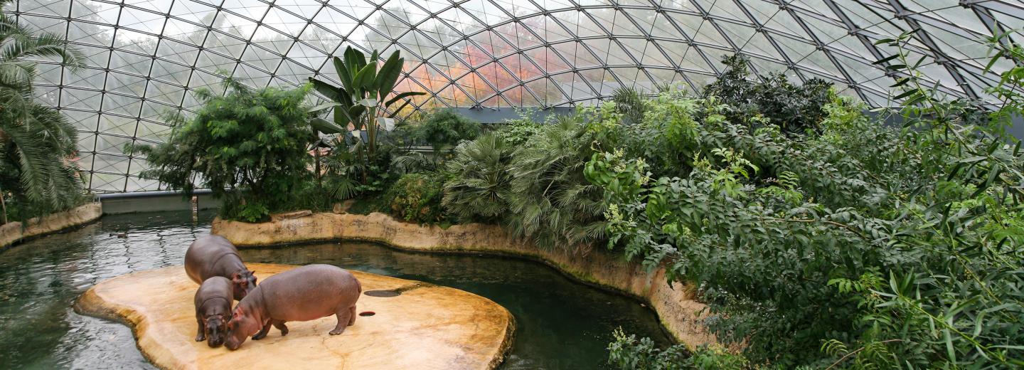 © Tierpark Berlin GmbH Tierpark Berlin
