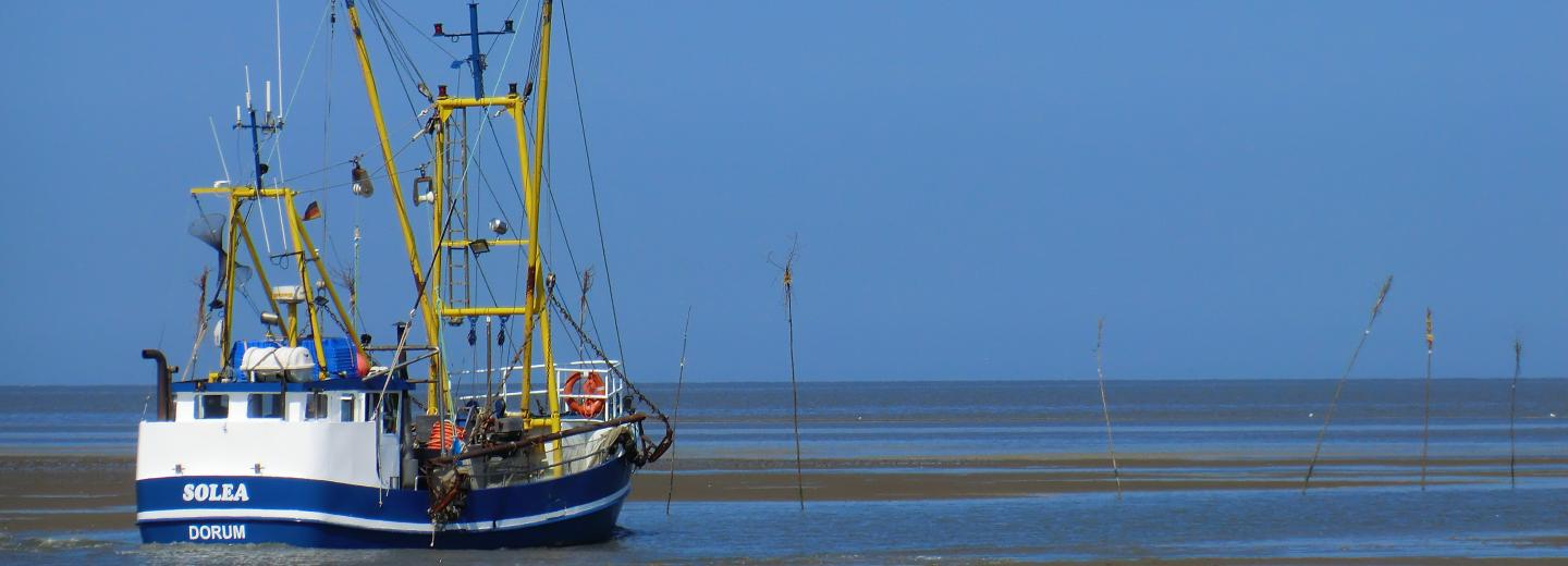 © Kurverwaltung Wurster Nordseeküste Wurster Nordseeküste
