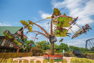 Drachenzähmen  Drachenzähmen