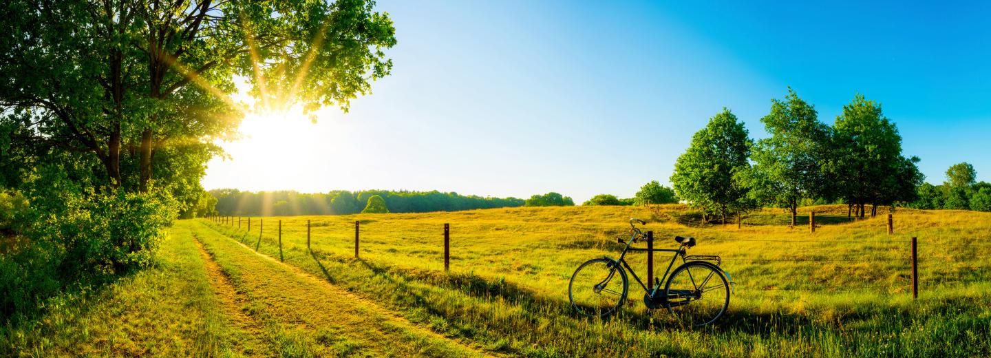 © Eurotours Bodensee: Radtour rund um das schwäbische Meer