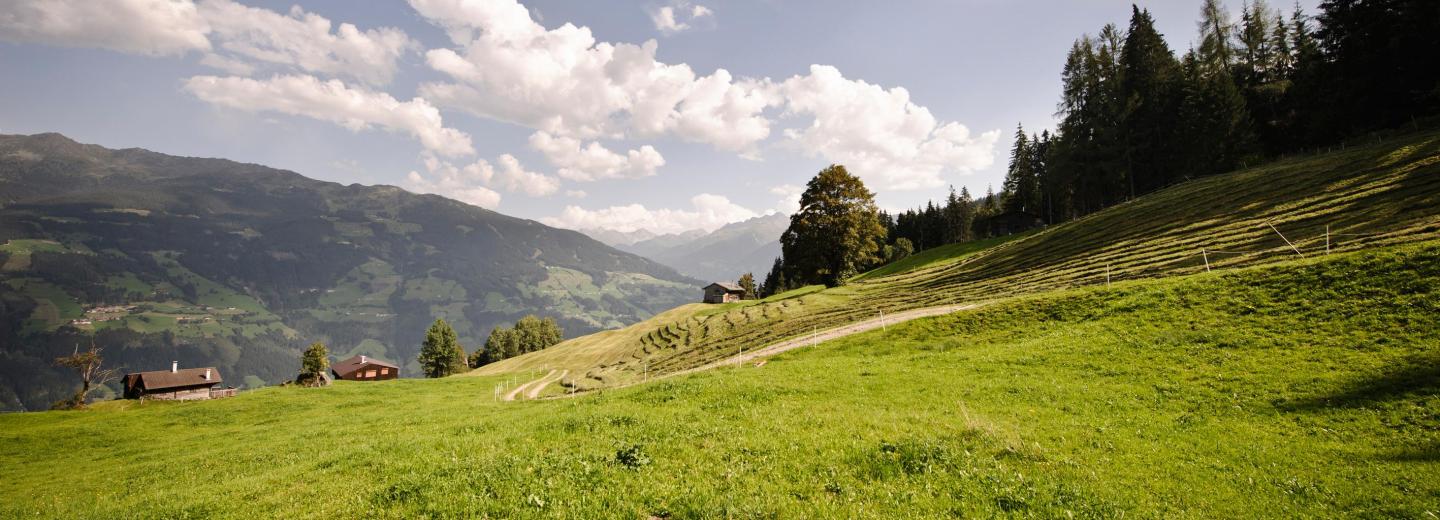 © Zillertal Tourismus GmbH, Andre Schönherr Zillertal