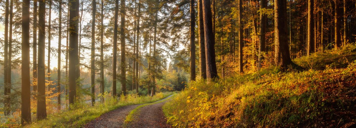 © Eurotours Schwarzwald