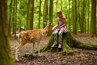 Wildparadies Reh Kind JUST AWAY