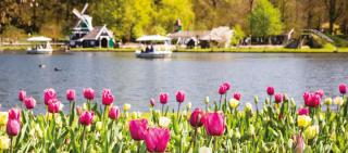 Freizeitpark Efteling JUST AWAY Freizeitpark Efteling JUST AWAY