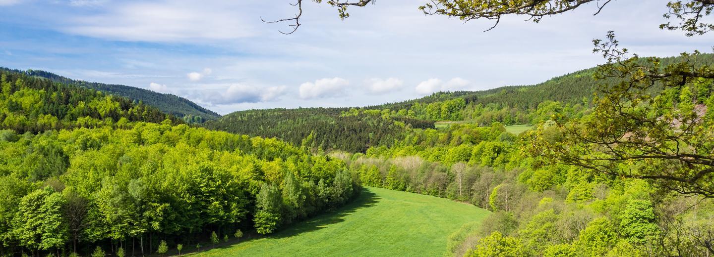 © Eurotours Von der Wanderlust gepackt? Auf nach Thüringen!