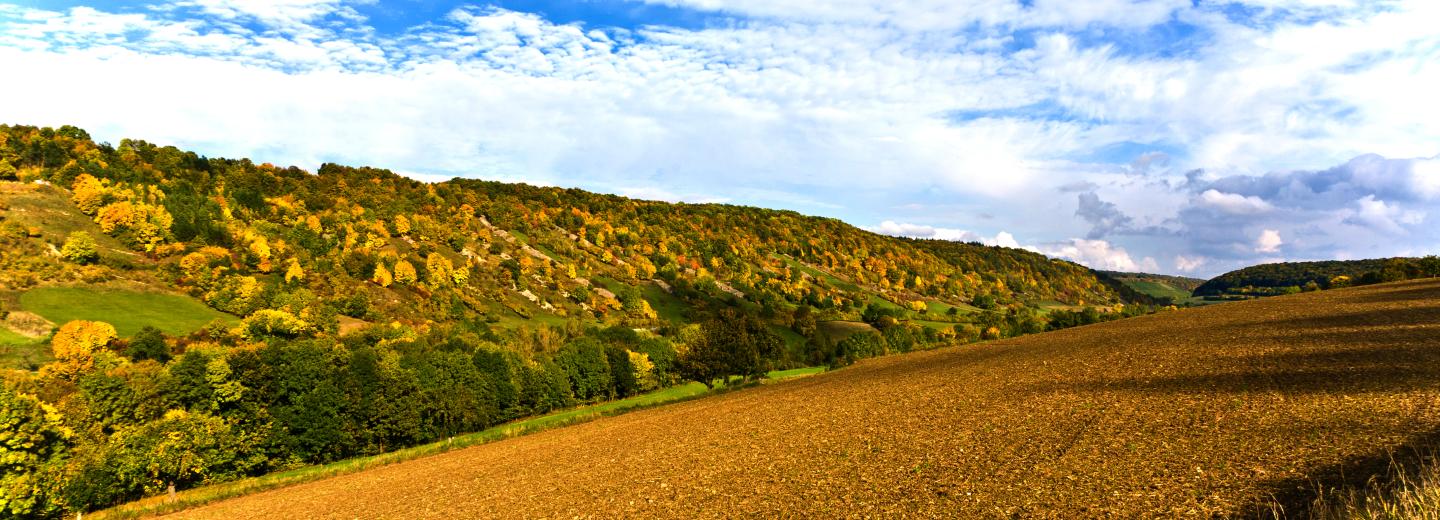 © Eurotours Taubertal
