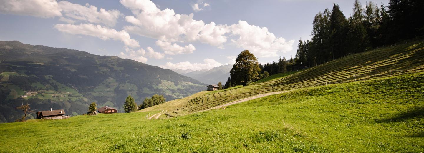© Zillertal Tourismus GmbH, Andre Schönherr Zillertal