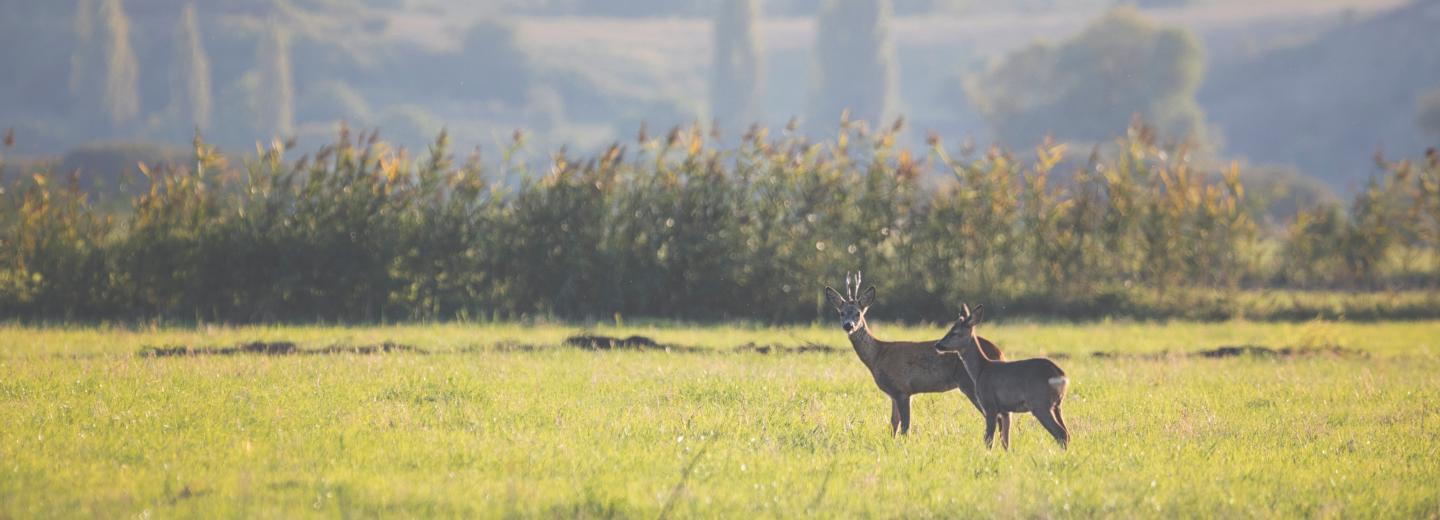 © Eurotours Auszeit für Naturliebhaber