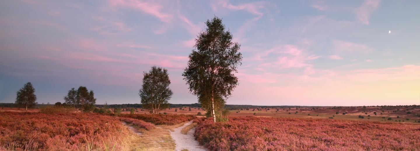 © Eurotours Lüneburger Heide