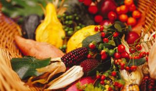 Goldener Herbst - JUST AWAY