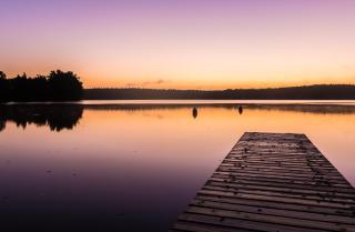 Goldener Herbst - JUST AWAY