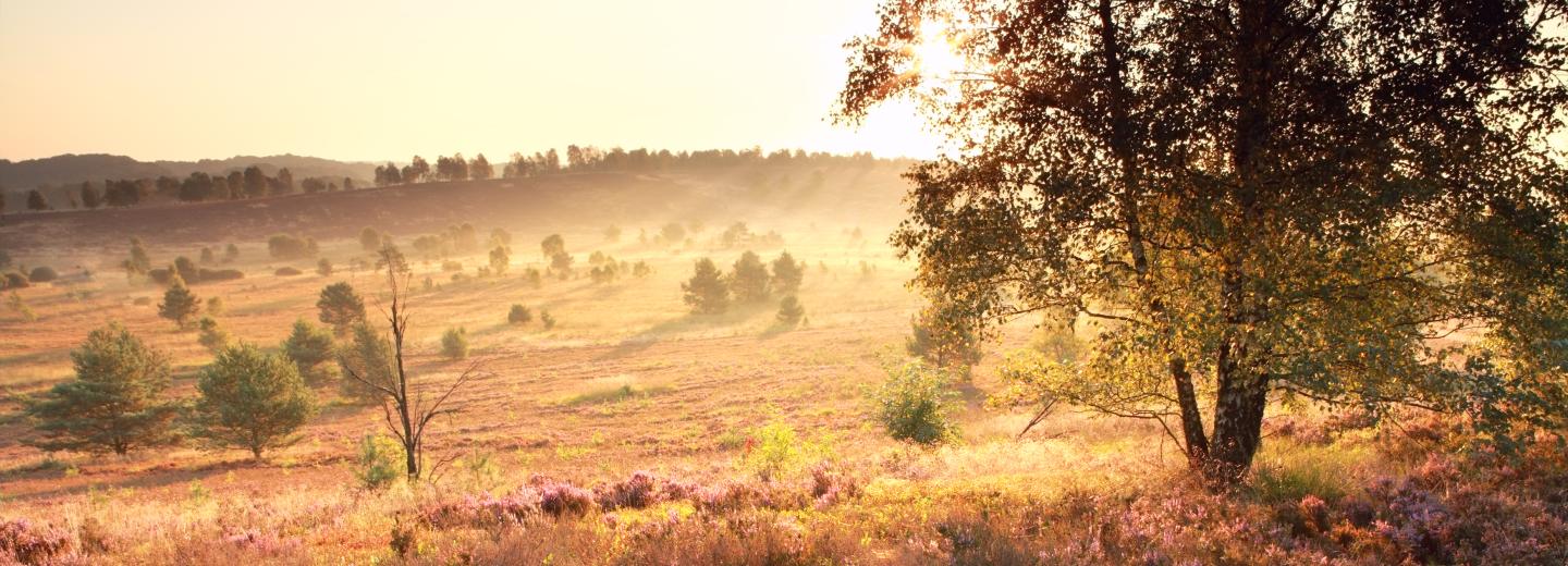 © Eurotours Lüneburger Heide