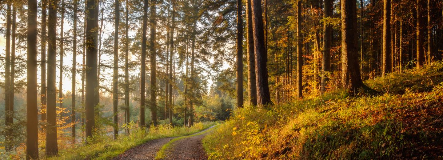 © Eurotours Schwarzwald