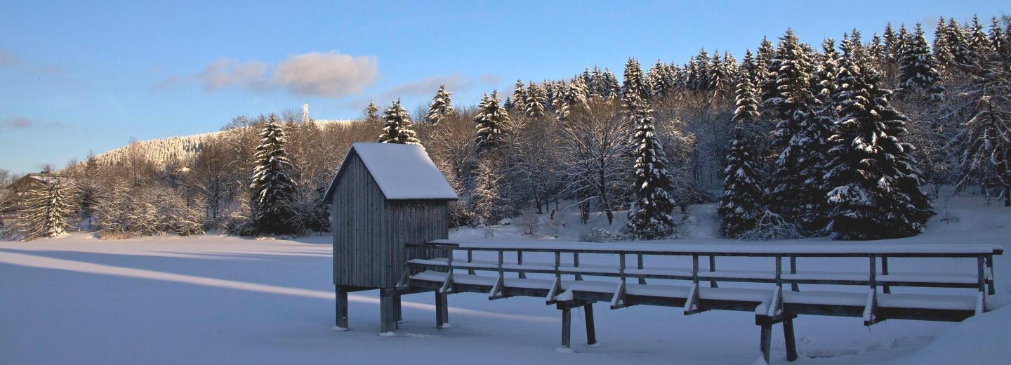 © Eurotours Zeitreise in der Kaiserstadt im Harz