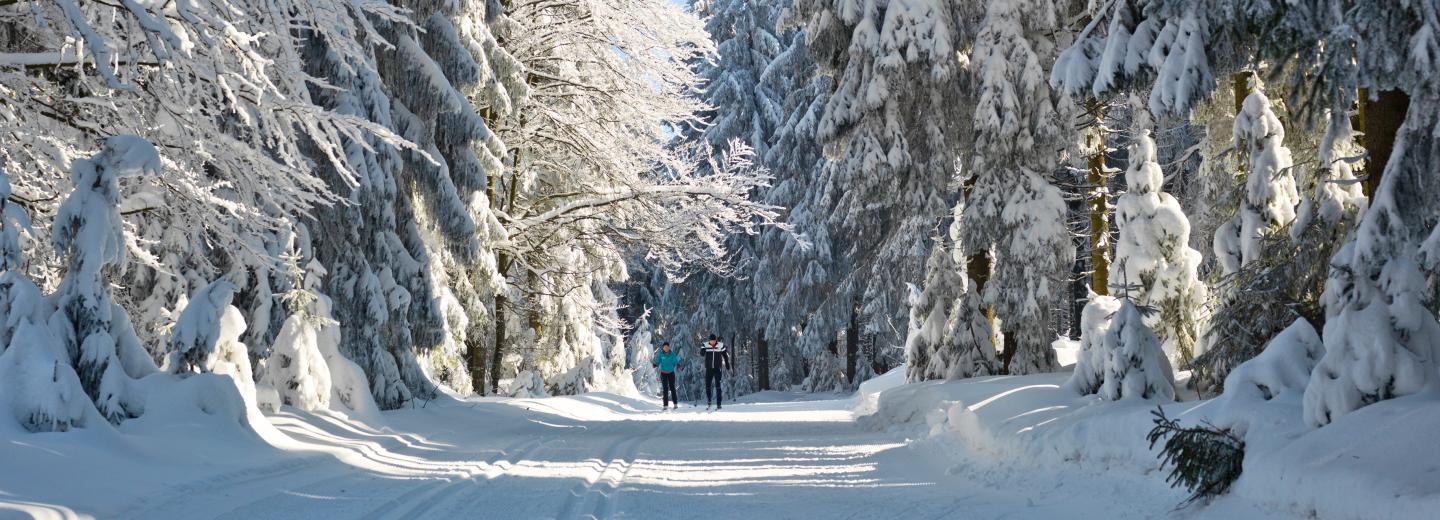 © Touristinfo Neureichenau Neureichenau