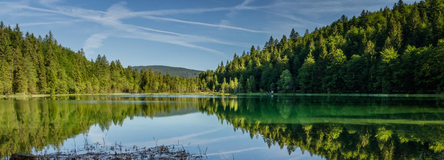© www.inzell.de Inzell