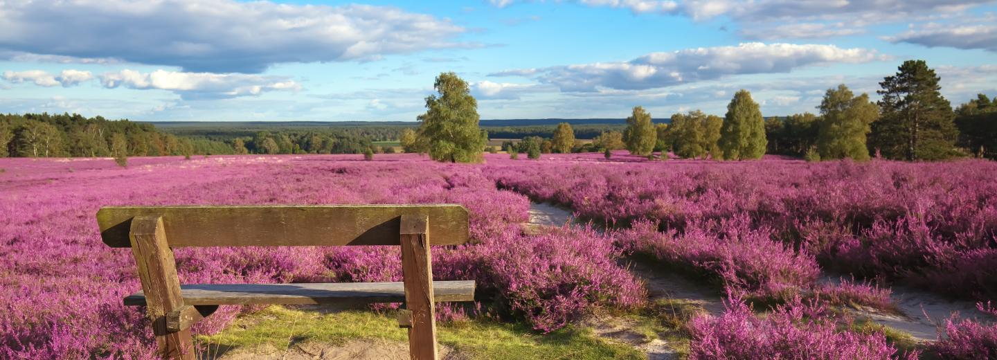 © Eurotours Auszeit in der Lüneburger Heide