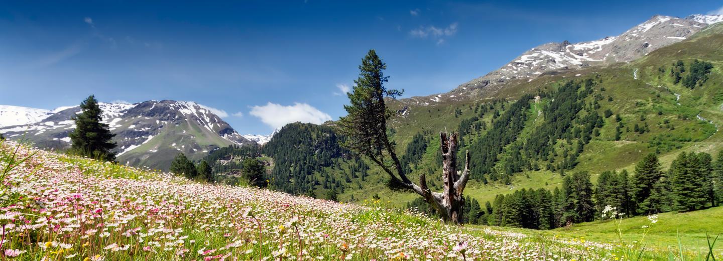 © Eurotours Kaunertal
