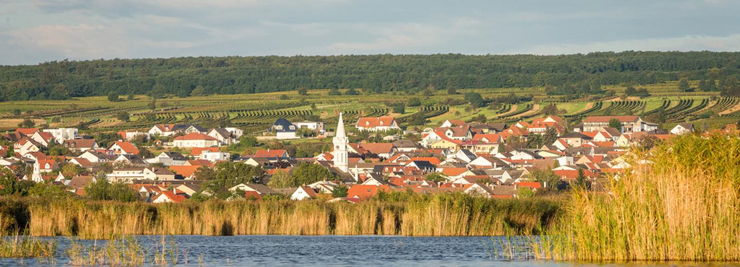 © TVB Mörbisch Mörbisch am See