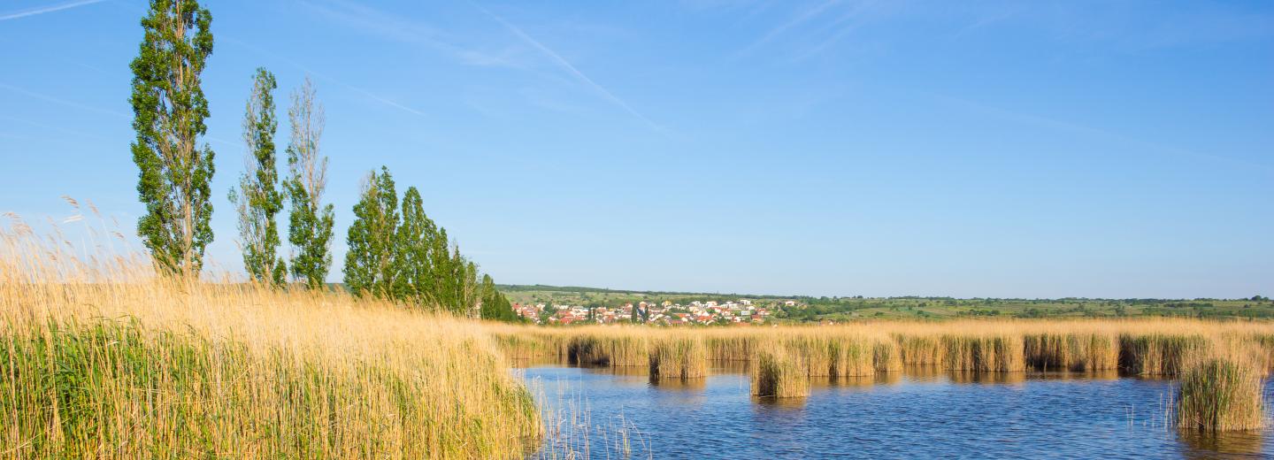 © Eurotours Neusiedler See