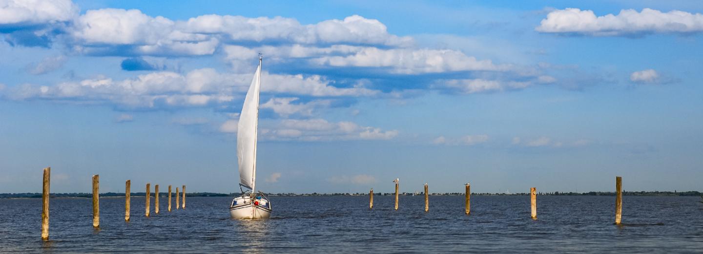 © Eurotours Neusiedler See