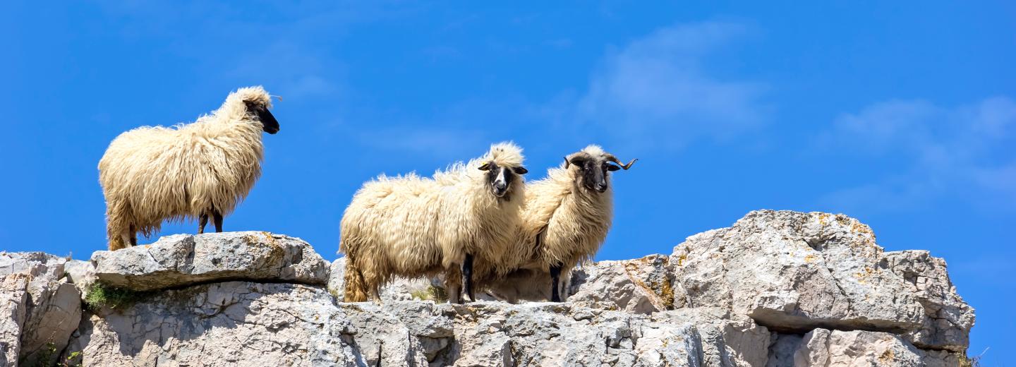 © Eurotours Nationalpark Kornati