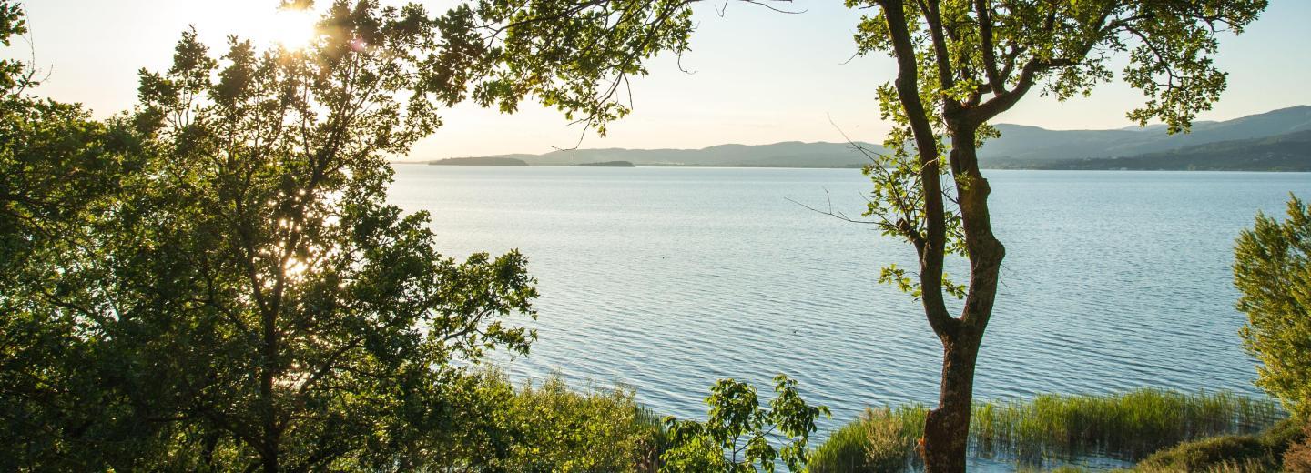 © Eurotours Ein Appartement direkt am Gardasee