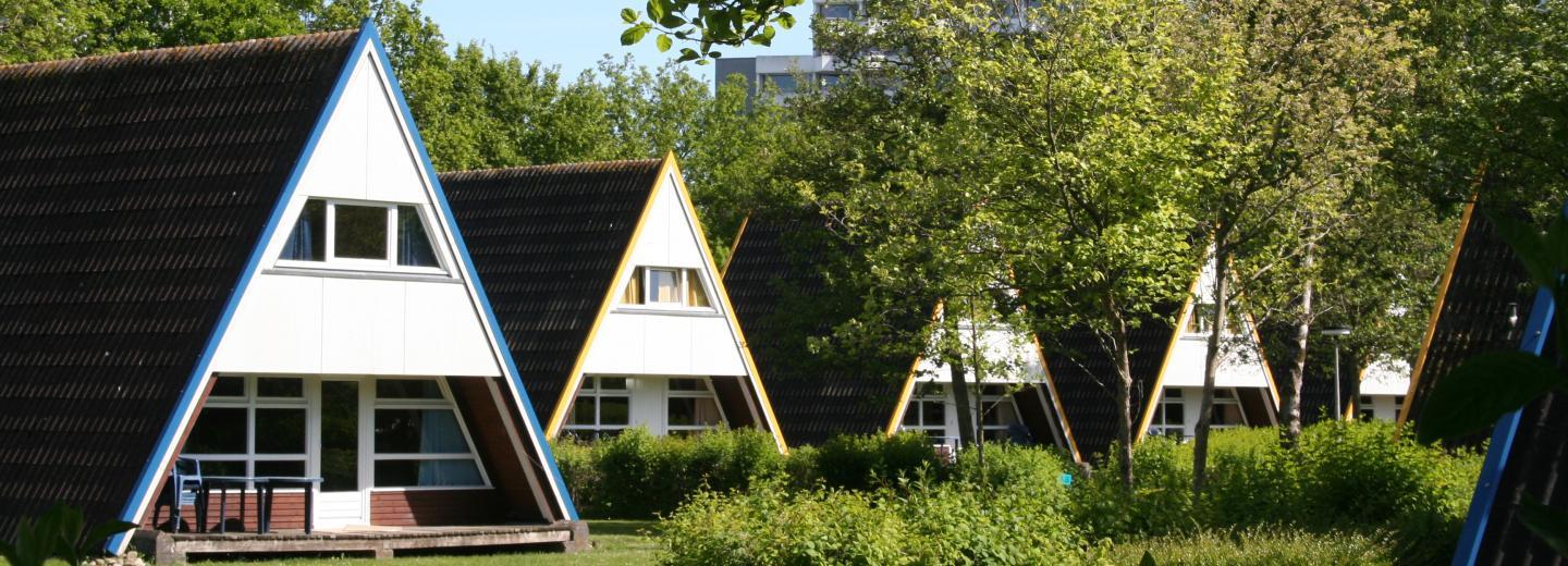 © ostsee resort damp GmbH NURDACHHAUS