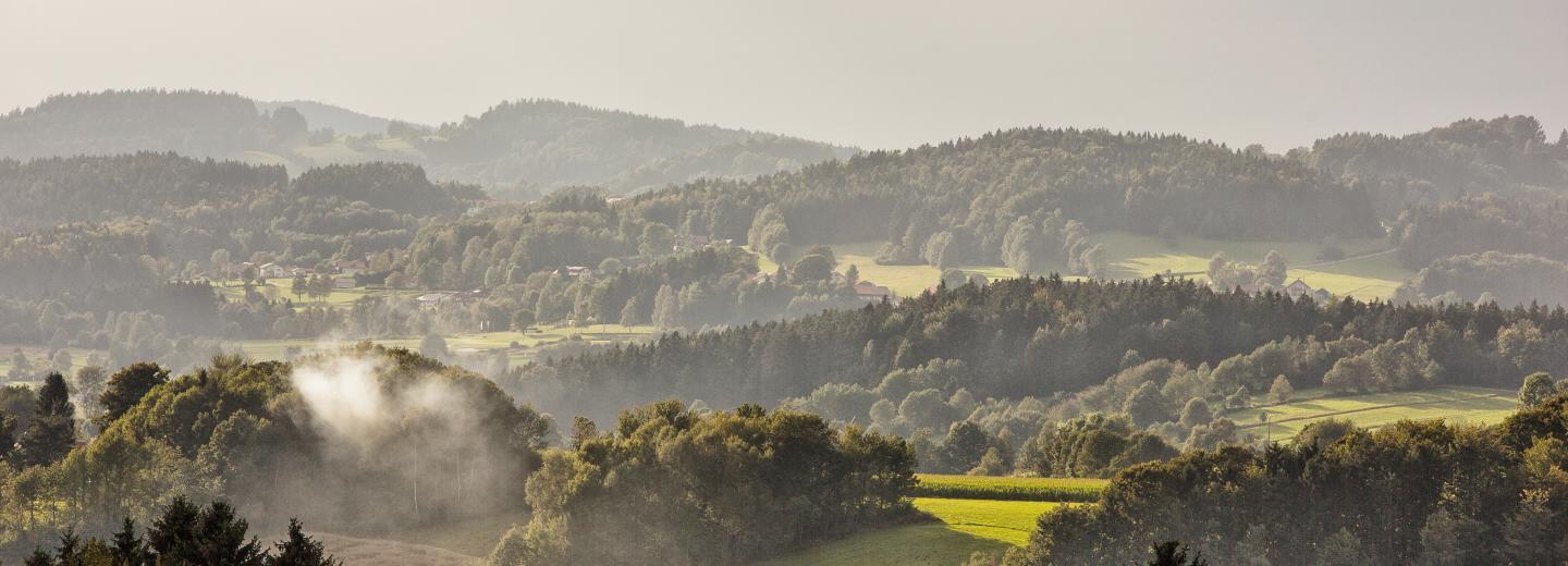 © Tourismusverband Ostbayern, Fotograf Andreas Meyer Bayrischer Wald