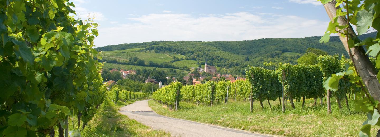 © Eurotours Elsass