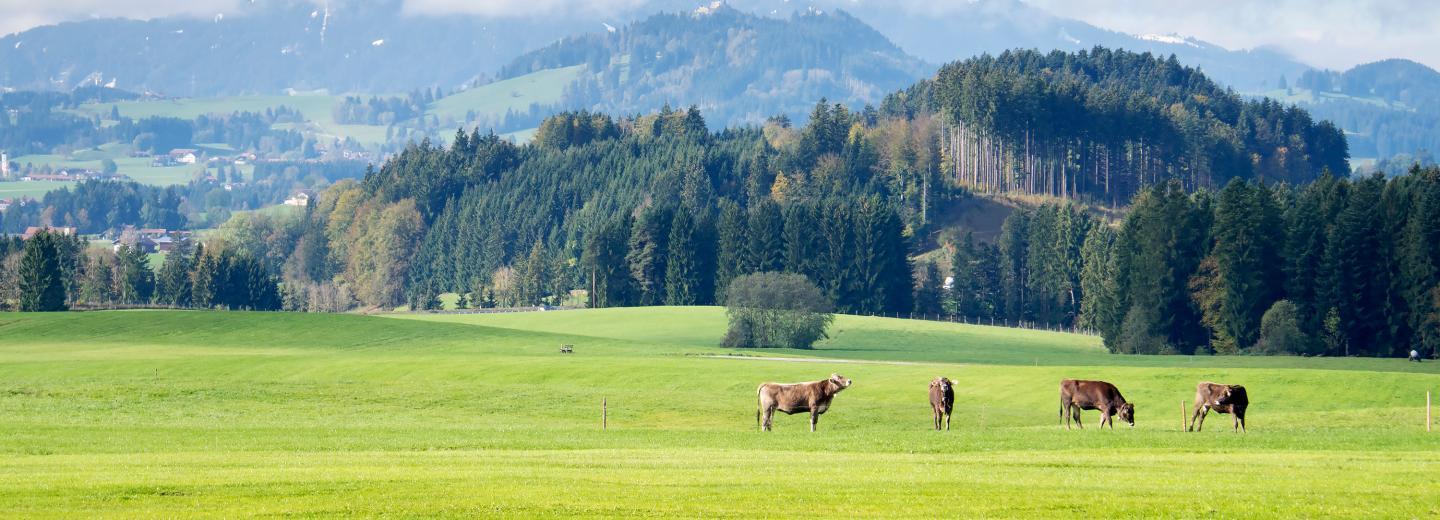 © Eurotours Allgäu