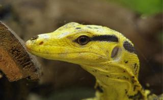 Zoo Augsburg JUST AWAY