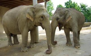 Zoo Augsburg JUST AWAY