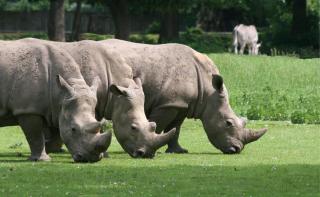 Zoo Augsburg JUST AWAY