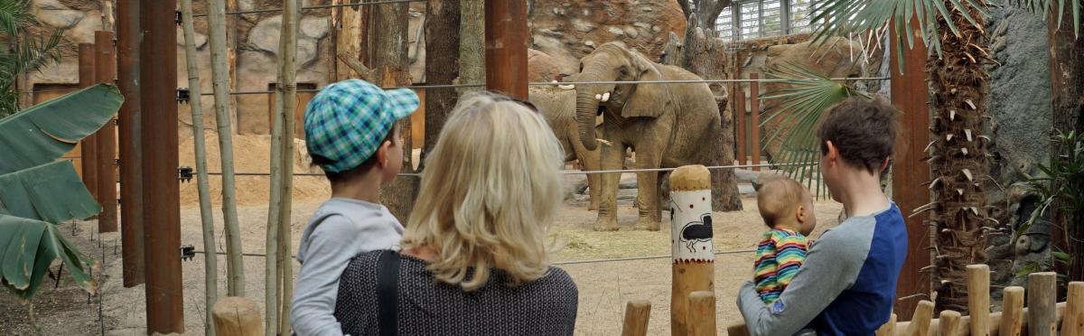 Die beliebtesten Zoos in Deutschland | JUST AWAY