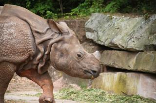 Tiergarten Nürnberg