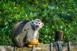 Zoo Leipzig JUST AWAY