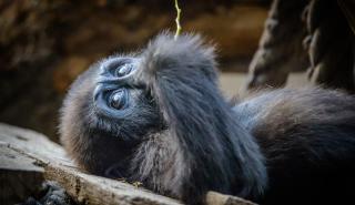 Zoo Leipzig JUST AWAY